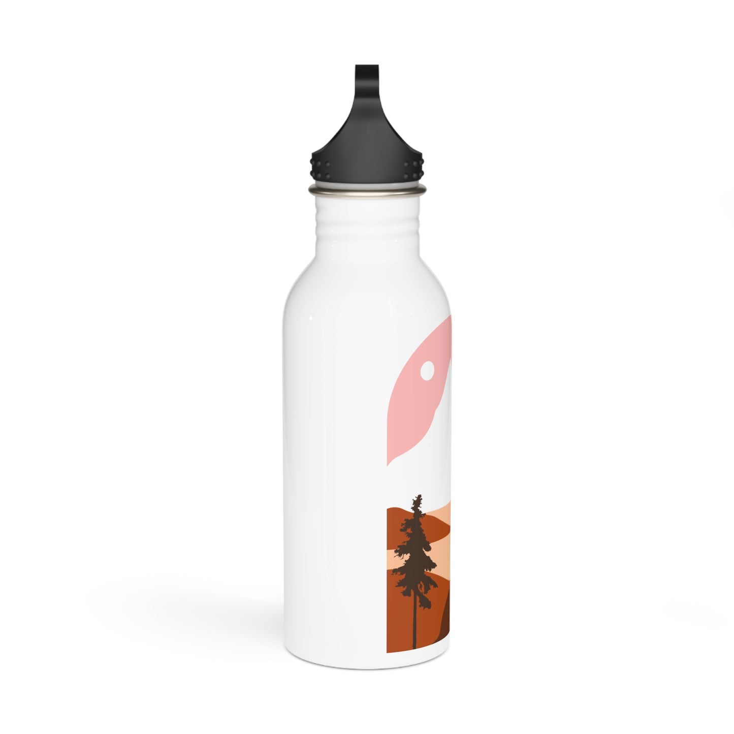 Stainless Steel Water Bottle