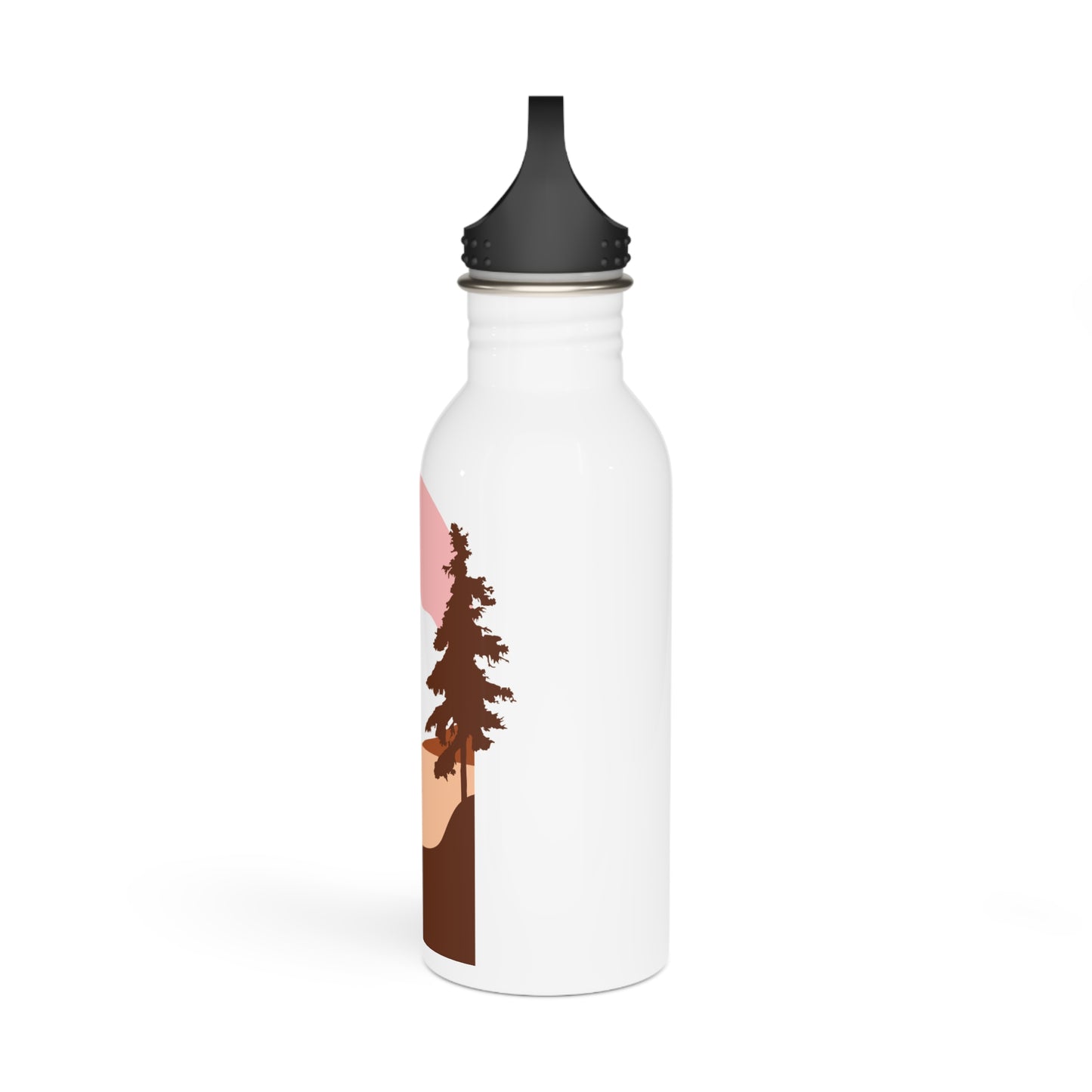 Stainless Steel Water Bottle