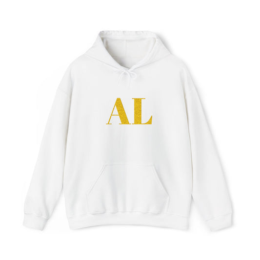 0. Embroidered Logo Men's Hoodie