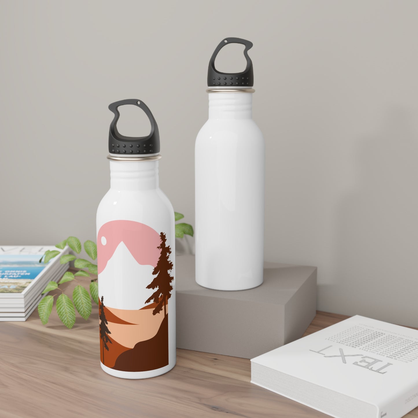 Stainless Steel Water Bottle